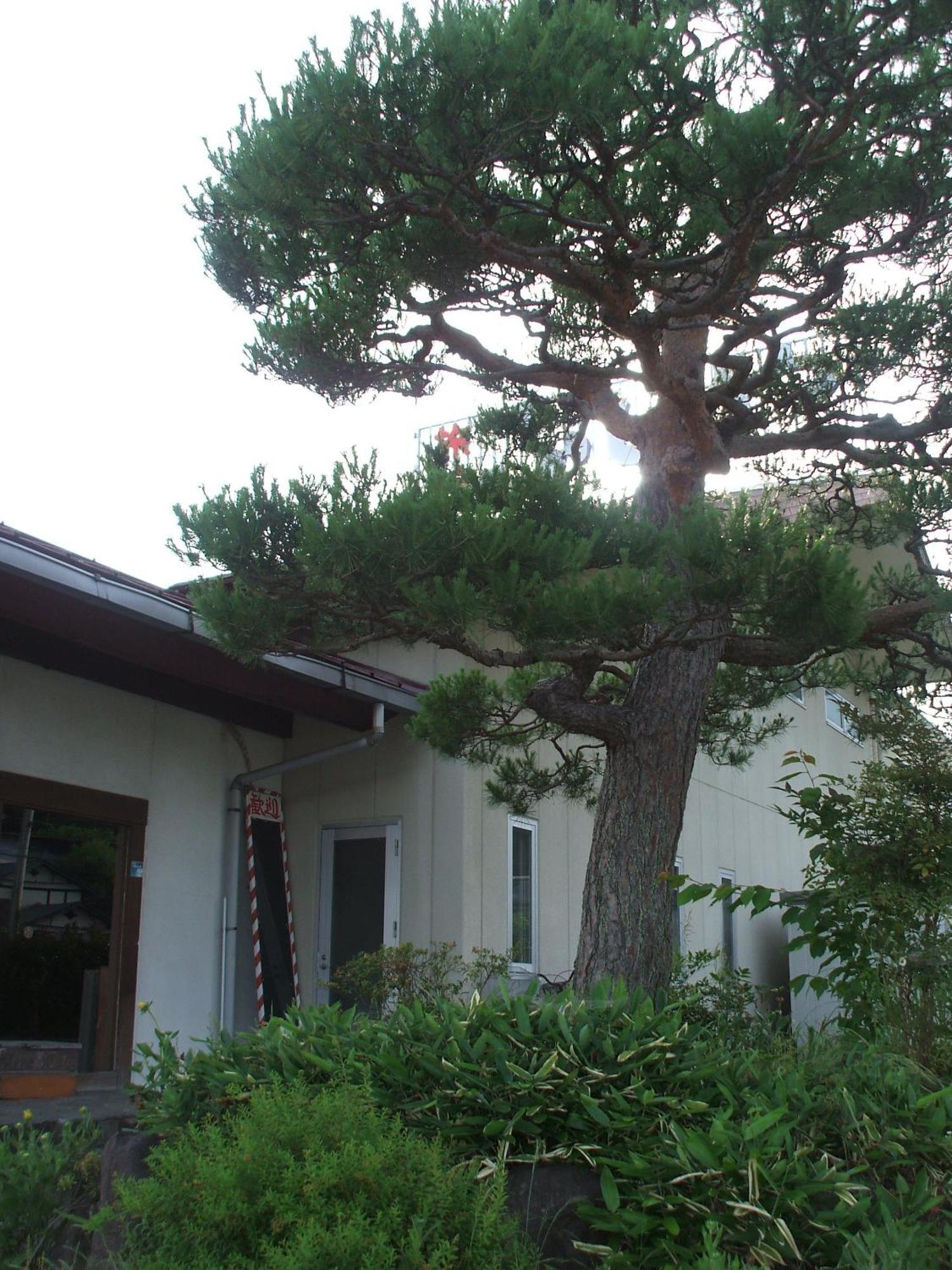 Annex Fujiya Ryokan Kaminoyama Luaran gambar