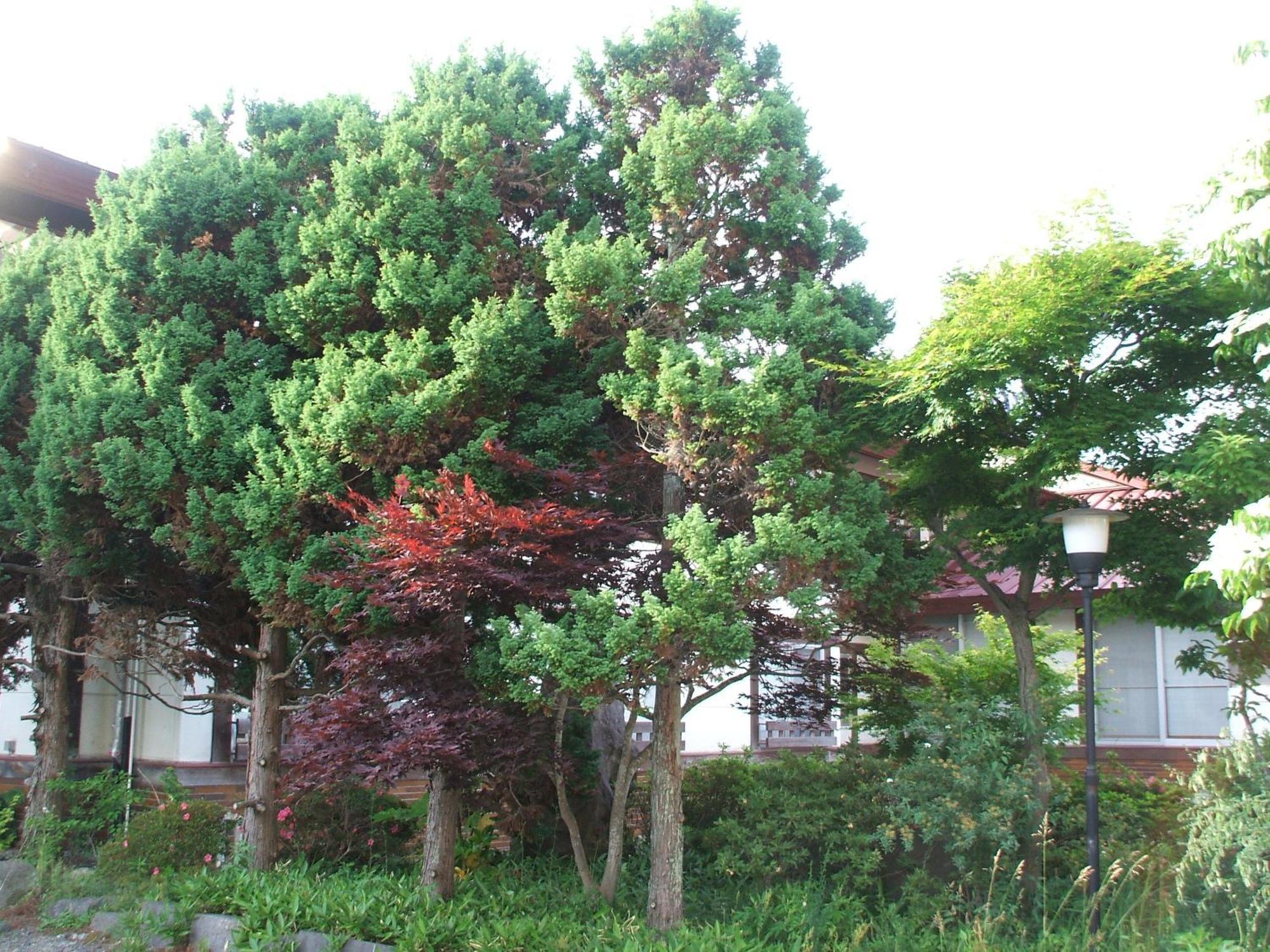 Annex Fujiya Ryokan Kaminoyama Luaran gambar